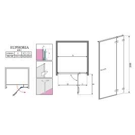 Душевая дверь Radaway Euphoria DWJ 110 R